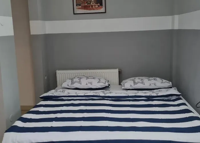 Guest house Pensiunea Casa Italia Timisoara