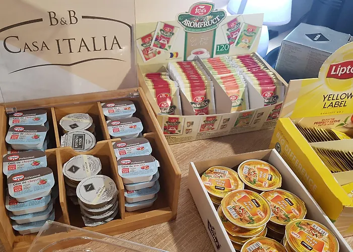 Pensiunea Casa Italia Guest house Timisoara