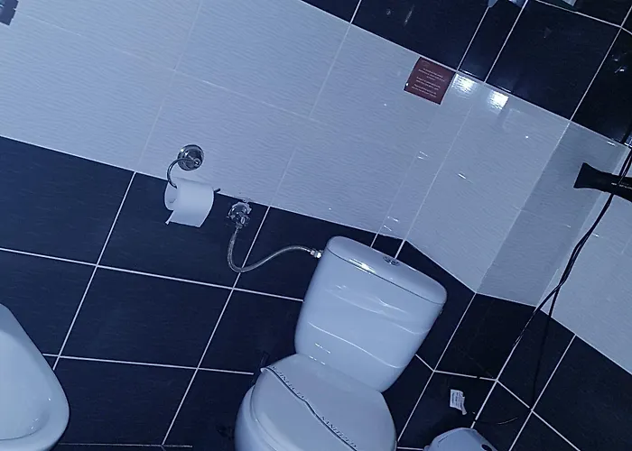 Guest house Pensiunea Casa Italia Timisoara