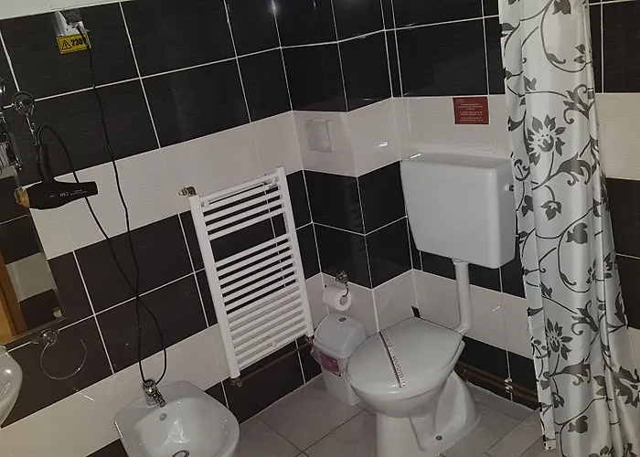 Guest house Pensiunea Casa Italia Timisoara