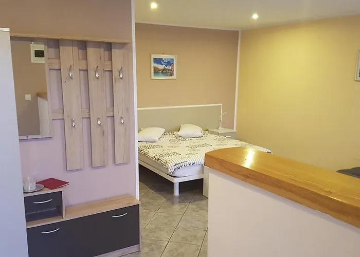 Pensiunea Casa Italia Guest house Timisoara